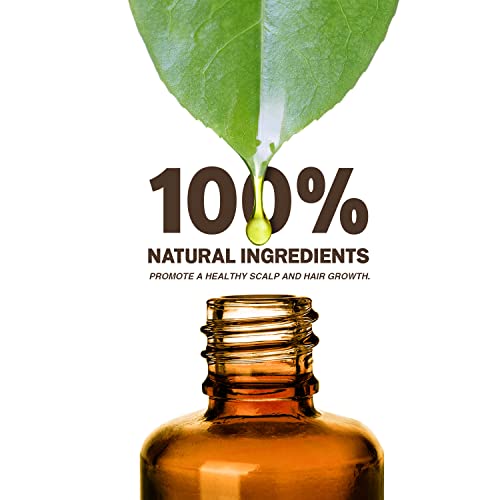 Ebin Wil + Gain Max Strength Hair Oil – Infused with Saw Palmetto, Fenugreek & Green Tea - ANNS BEAUTY SUPPLY