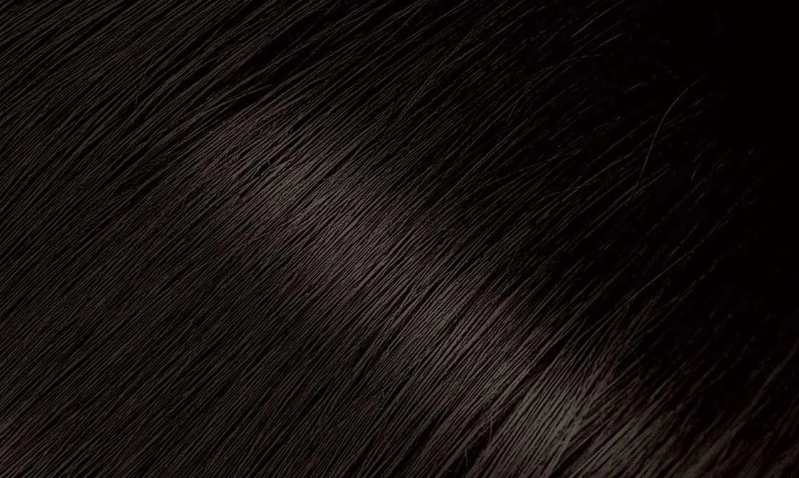 Bigen Permanent Powder Hair Color 56 Rich Medium Brown 0.21 oz - ANNS BEAUTY SUPPLY