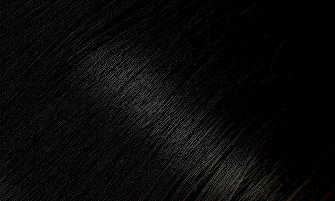 Bigen Permanent Powder Hair Color 58 Black Brown 0.21 oz - ANNS BEAUTY SUPPLY