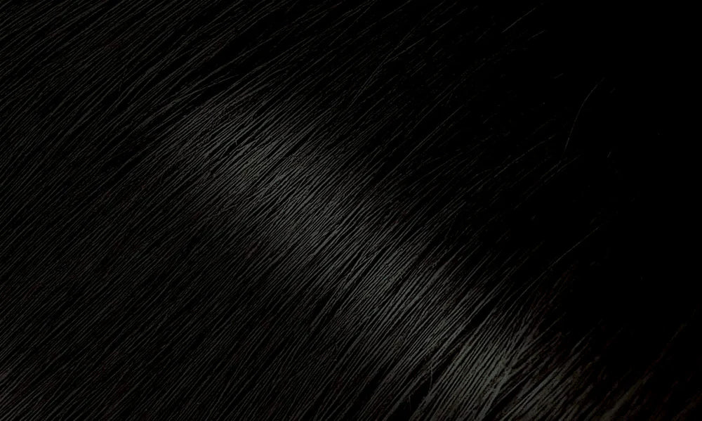 Bigen Permanent Powder Hair Color 58 Black Brown 0.21 oz. / 6 g - ANNS BEAUTY SUPPLY