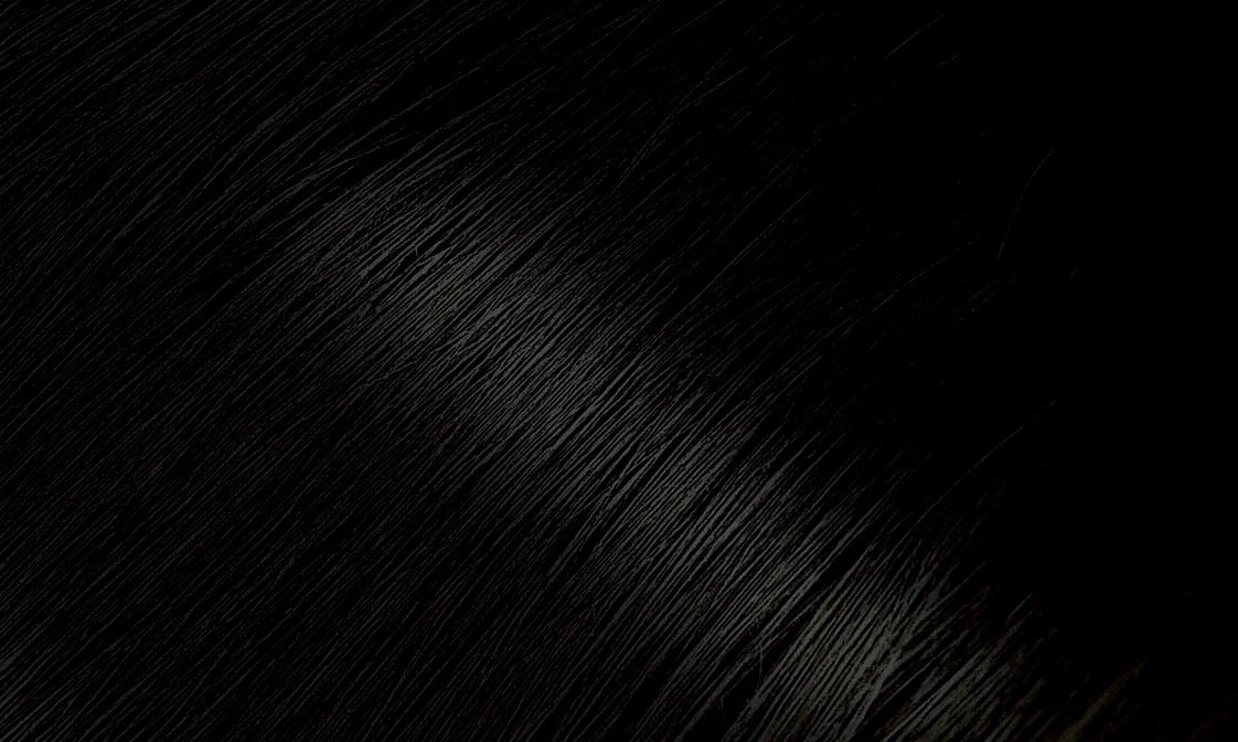 Bigen Permanent Powder Hair Color 59 Oriental Black 0.21 oz. / 6 g - ANNS BEAUTY SUPPLY