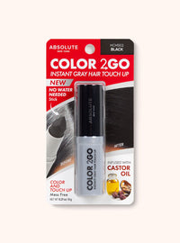 Absolute New York Color 2GO Instant Gray Hair Touch Up Stick HCHS02
