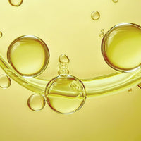 Hollywood Beauty Tea Tree Premium Oil 8 oz - ANNS BEAUTY SUPPLY