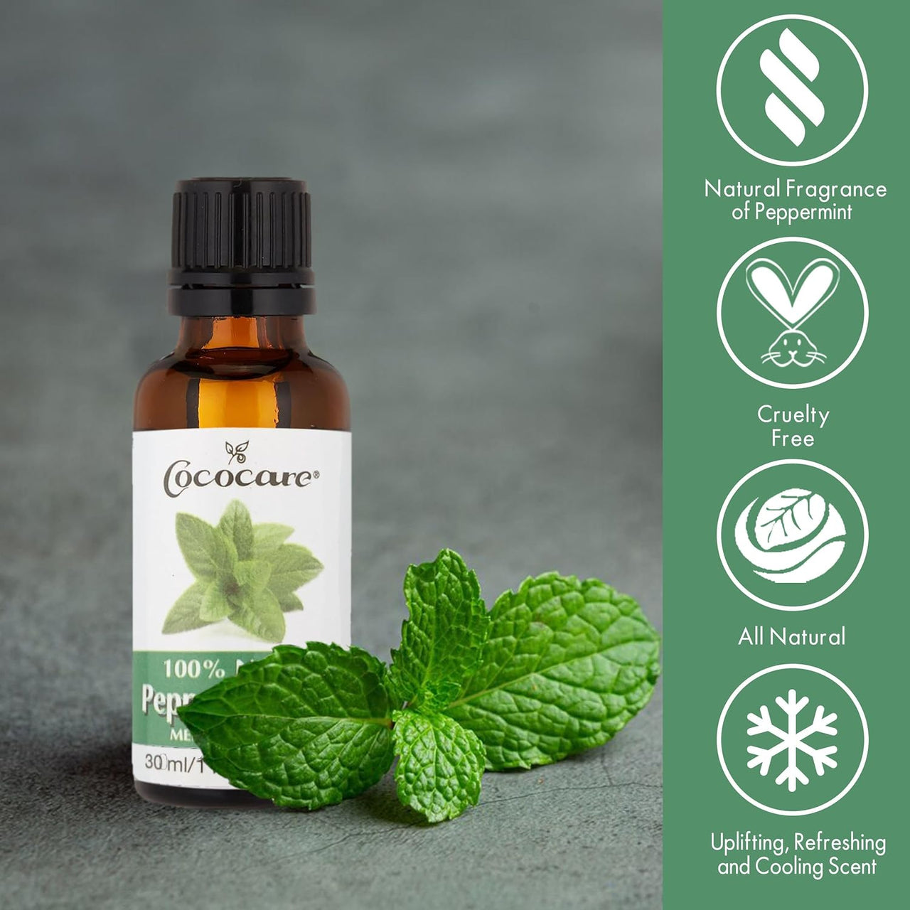 Cococare 100% Natural Peppermint Oil 1 fl. oz. / 30 mL - ANNS BEAUTY SUPPLY