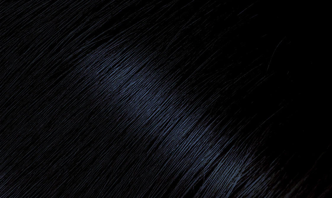 Bigen Permanent Powder Hair Color 88 Blue Black 0.21 oz - ANNS BEAUTY SUPPLY