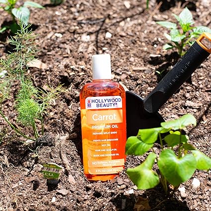 Hollywood Beauty Carrot Premium Oil 8 oz - ANNS BEAUTY SUPPLY