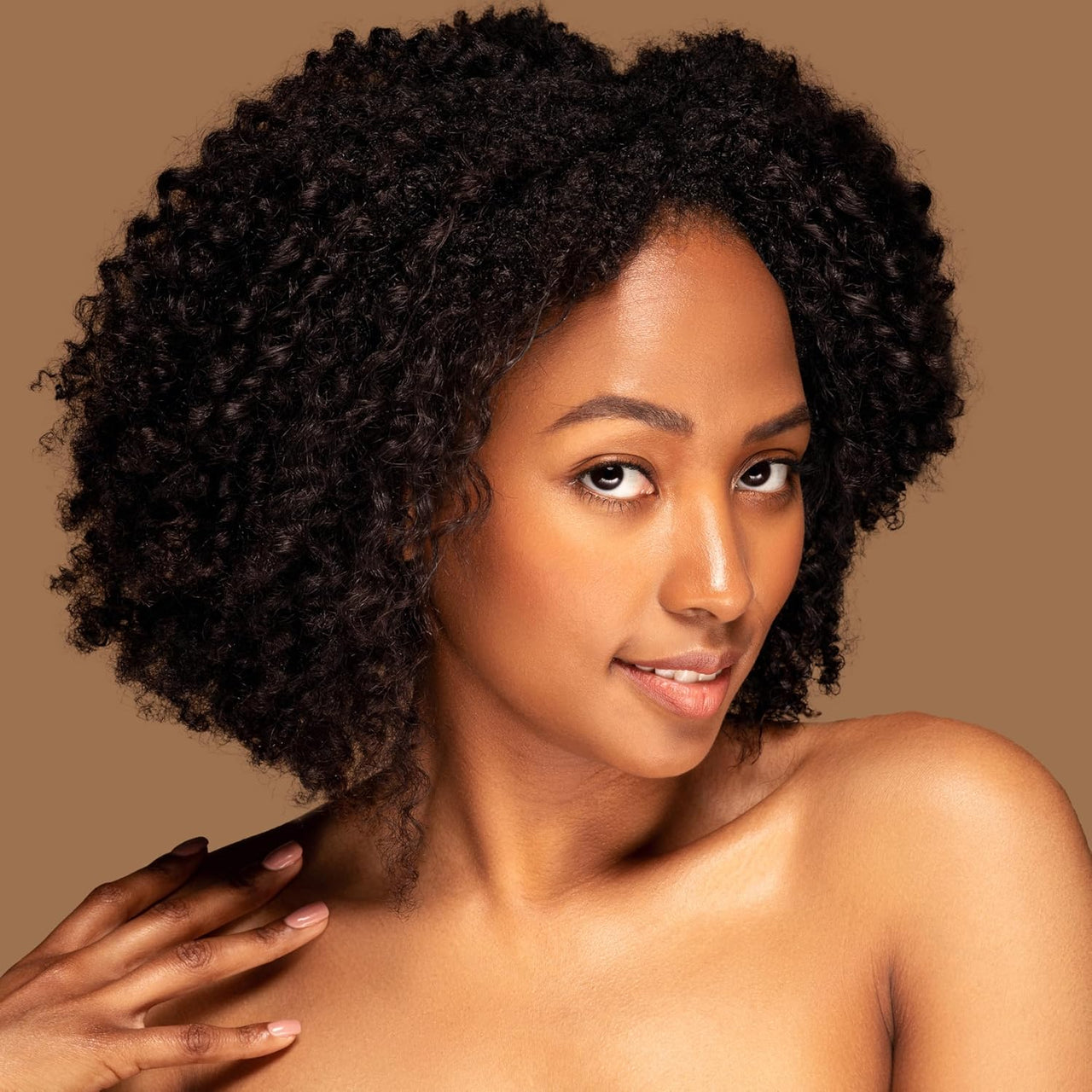 Hollywood Beauty Tea Tree Premium Oil 8 oz - ANNS BEAUTY SUPPLY