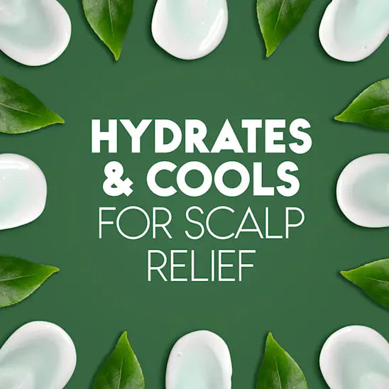 Head & Shoulders Tea Tree Oil 2 In 1 Dandruff Shampoo + Conditioner 12.5 FL OZ (370 mL)