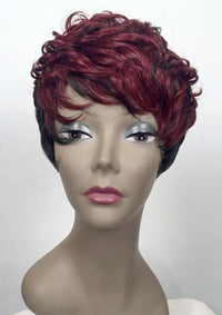 Manhattan Style Synthetic Wig Terri