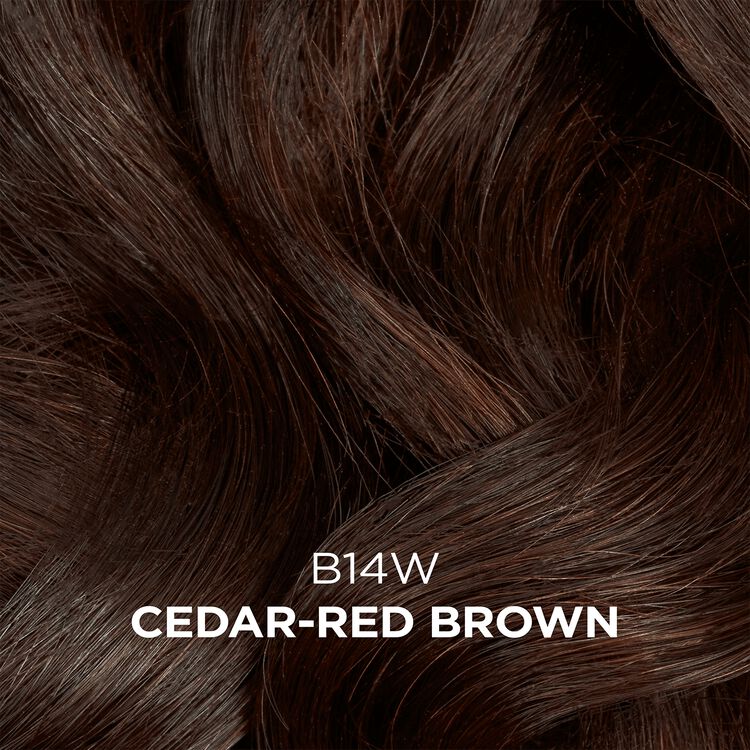 Clairol Professional BC Beautiful Collection Moisturizing Color B14W Cedar Red Brown 3 Fl. Oz. / 88 mL - ANNS BEAUTY SUPPLY