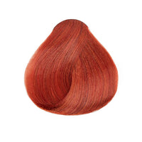 L'Oréal Technique Excellence HiColor Reds Permanent Hair Color H10 Copper Red 1.74 Oz. / 49.29 g - ANNS BEAUTY SUPPLY