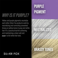 Silver Fox Gray Enhancing Leave-In Conditioner for Beard & Scalp (90 mL / 3 oz)