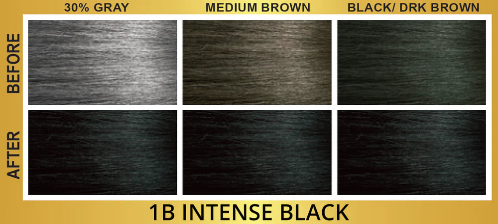 Bigen Easy Color Permanent Hair Color 1B Intense Black