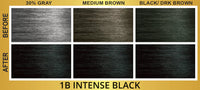 Bigen Easy Color Permanent Hair Color 1B Intense Black