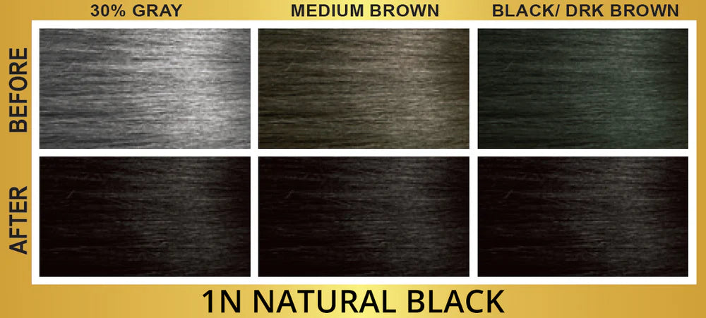 Bigen Easy Color Permanent Hair Color 1N Natural Black