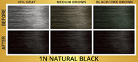 Bigen Easy Color Permanent Hair Color 1N Natural Black
