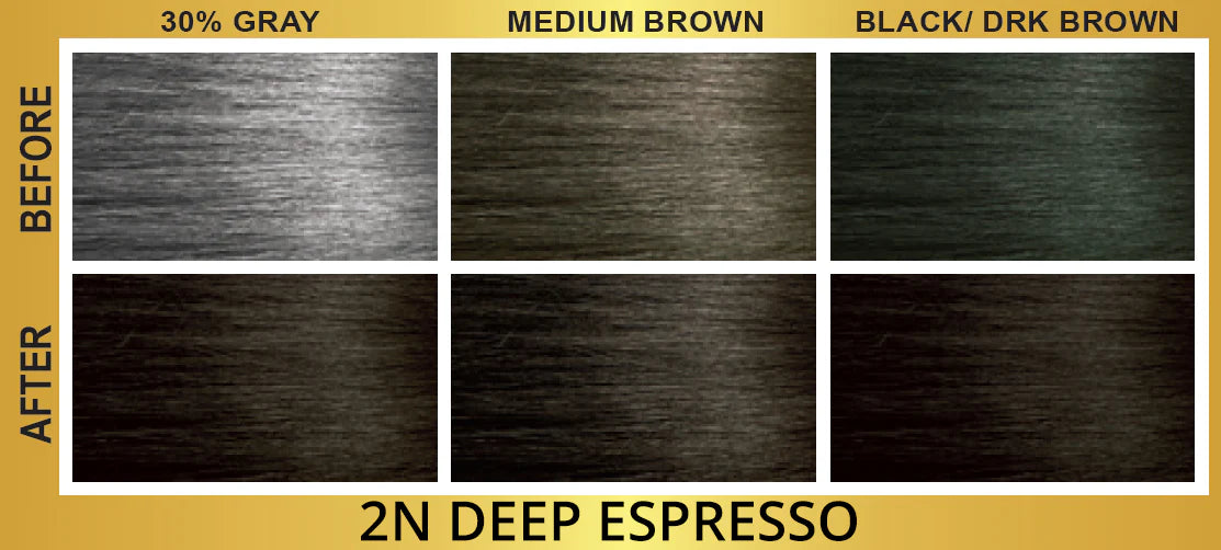 Bigen Easy Color Permanent Hair Color 2N Deep Espresso
