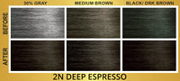 Bigen Easy Color Permanent Hair Color 2N Deep Espresso