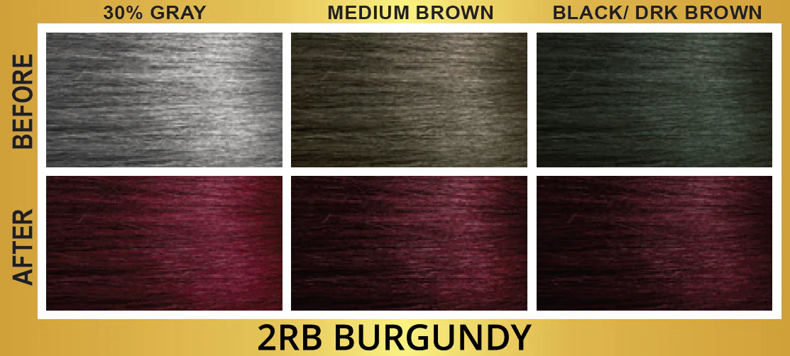 Bigen Easy Color Permanent Hair Color 2RB Burgundy - ANNS BEAUTY SUPPLY
