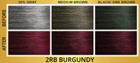 Bigen Easy Color Permanent Hair Color 2RB Burgundy - ANNS BEAUTY SUPPLY