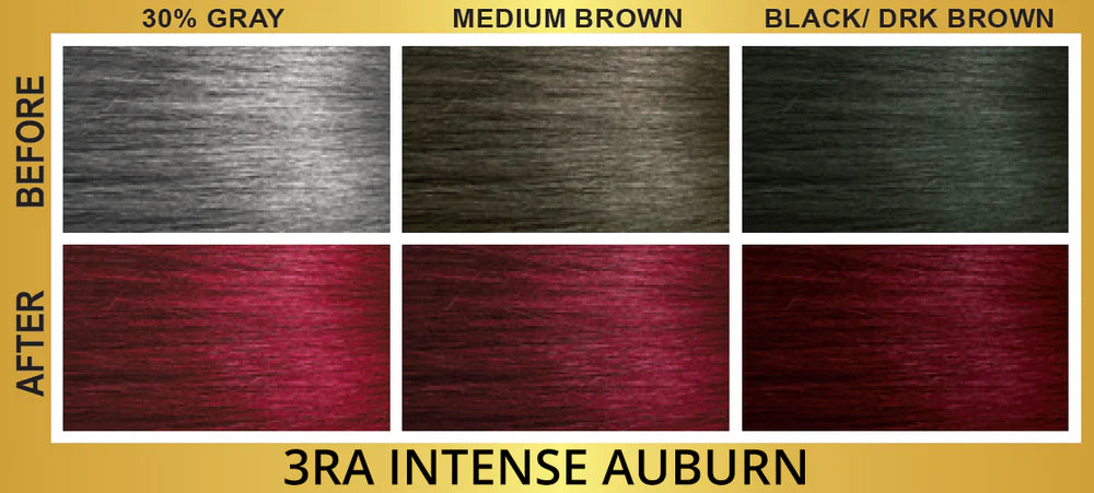 Bigen Easy Color Permanent Hair Color 3RA Intense Auburn - ANNS BEAUTY SUPPLY