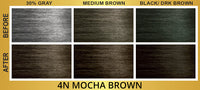 Bigen Easy Color Permanent Hair Color 4N Mocha Brown - ANNS BEAUTY SUPPLY