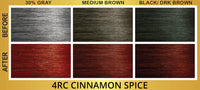 Bigen Easy Color Permanent Hair Color 4RC Cinnamon Spice