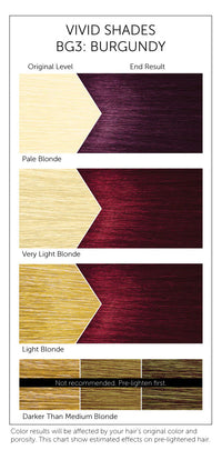 Bigen Designer Series Semi-Permanent Hair Color BG3 Burgundy 3 FL OZ / 88 mL