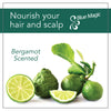 Blue Magic Bergamot Hair & Scalp Conditioner 12 Oz. (340 g)