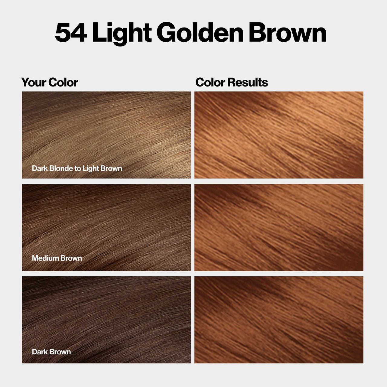 Revlon Colorsilk Permanent Hair Color 54 Light Golden Brown - ANNS BEAUTY SUPPLY
