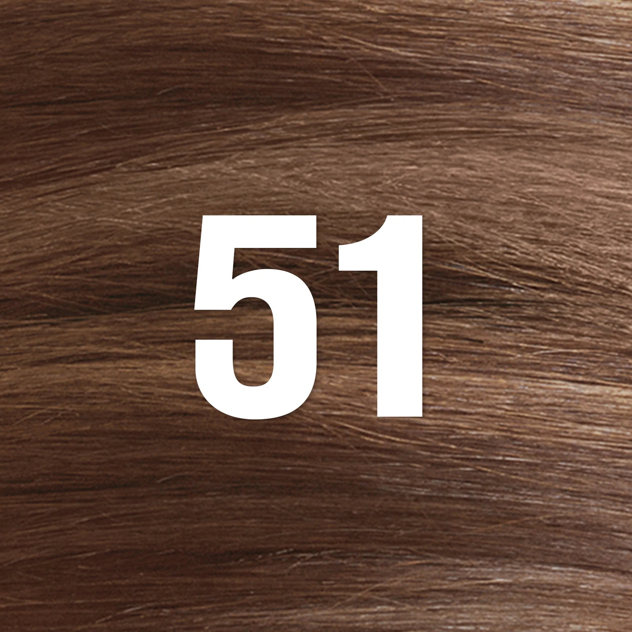 Revlon Colorsilk Hair Color 51 Light Brown 1 application - ANNS BEAUTY SUPPLY
