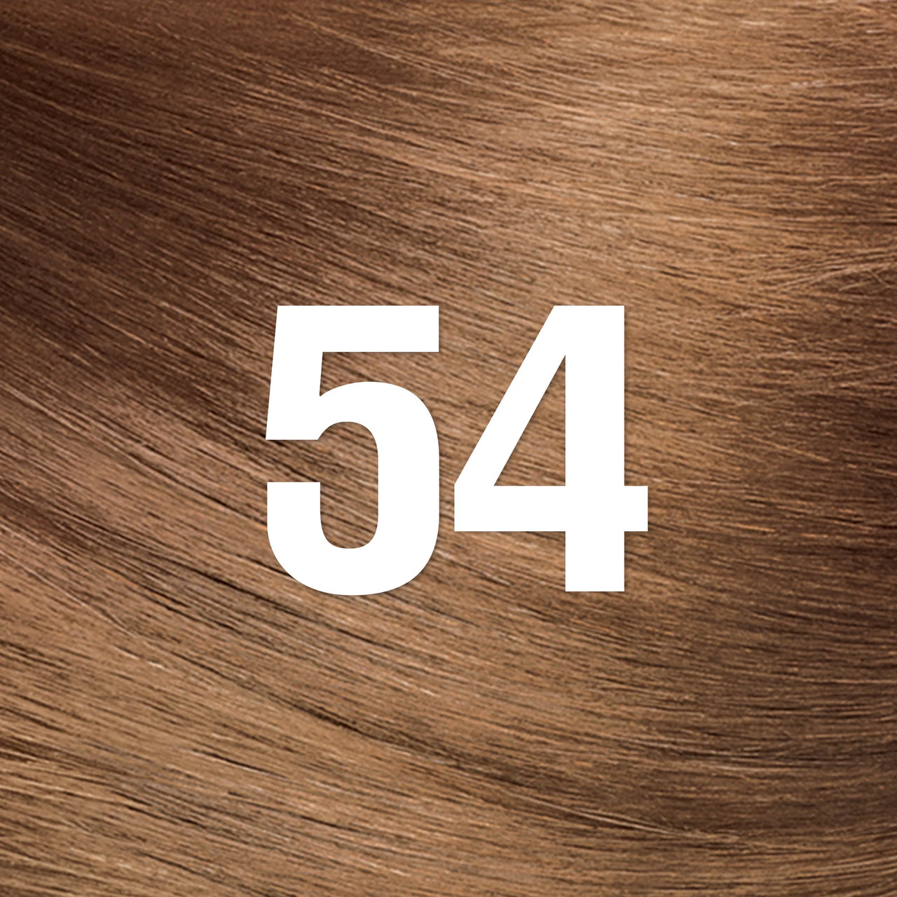 Revlon Colorsilk Permanent Hair Color 54 Light Golden Brown - ANNS BEAUTY SUPPLY