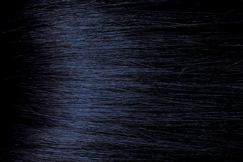 Bigen Semi-Permanent Hair Color BB1 Blue Black 3 Fl. Oz. / 88 mL - ANNS BEAUTY SUPPLY