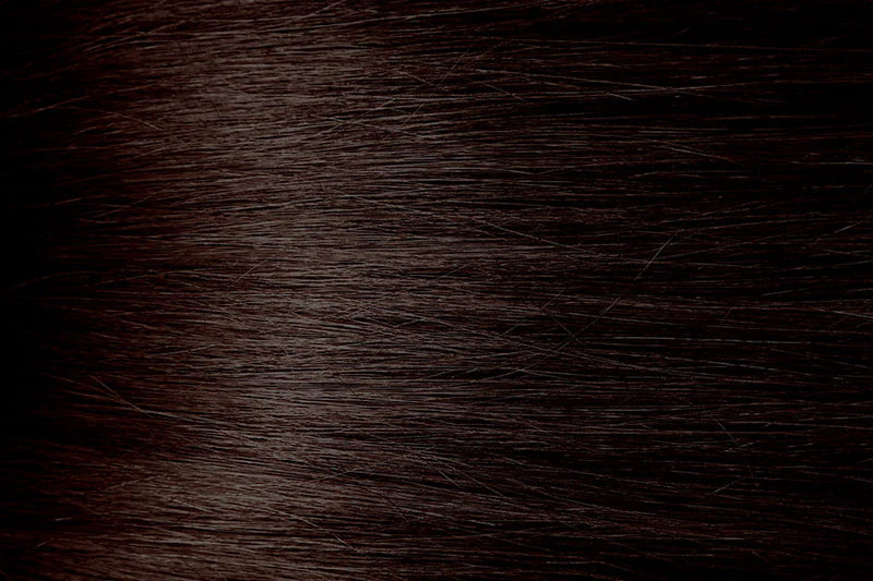 Bigen Semi-Permanent Hair Color DB2 Dark Brown 3 Fl. Oz. / 88 mL - ANNS BEAUTY SUPPLY