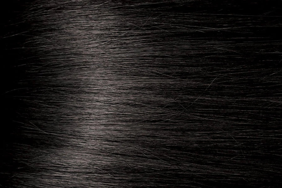 Bigen Semi-Permanent Hair Color NB2 Natural Black 3 fl. oz - ANNS BEAUTY SUPPLY