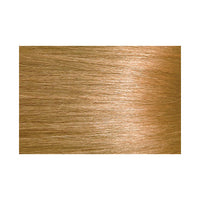Bigen Easy Color Permanent Hair Color 6HB Honey Blonde - ANNS BEAUTY SUPPLY